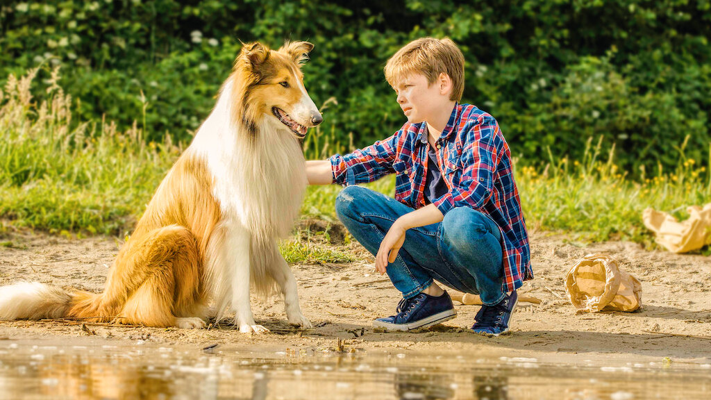 Lassie 2024 dog movie