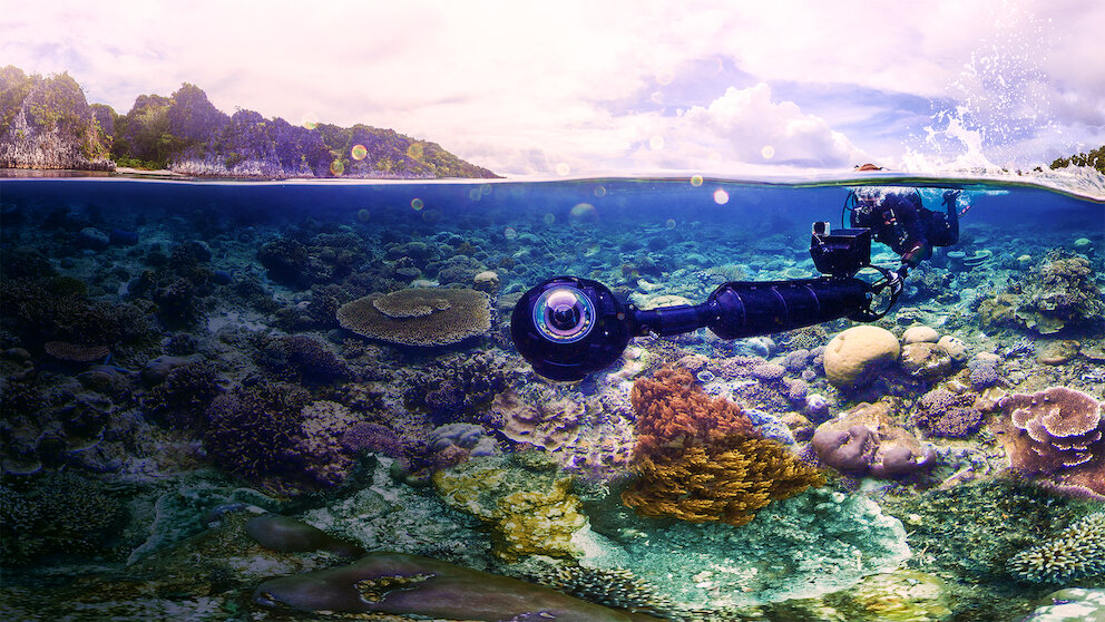 チェイシング・コーラル -消えゆくサンゴ礁-を観る | Netflix (ネ チェイシング・コーラル -消えゆくサンゴ礁-を観る | Netflix (ネ