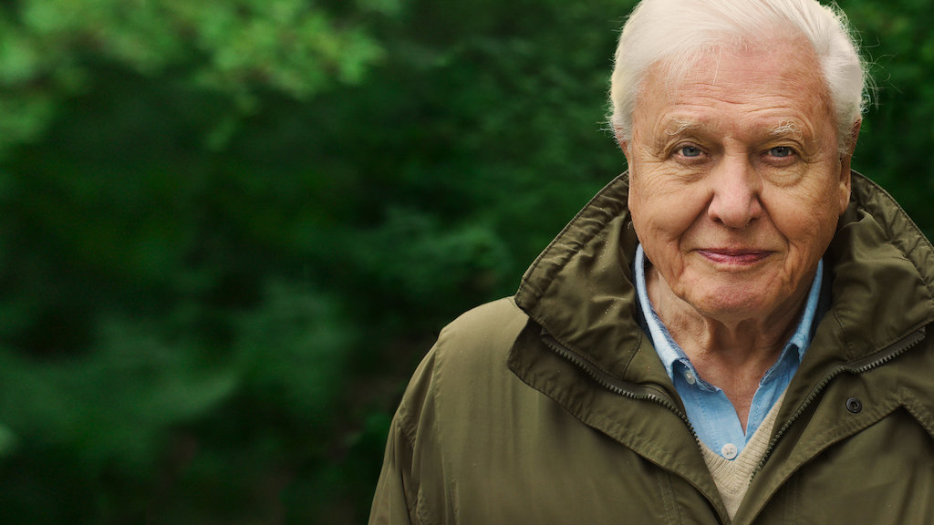 David Attenborough: Život na naší planetě | Oficiální stránky Netflix