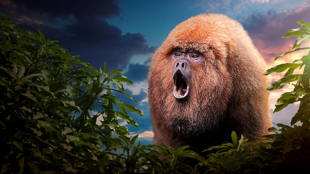 Aggressive Animals aggressive-animals