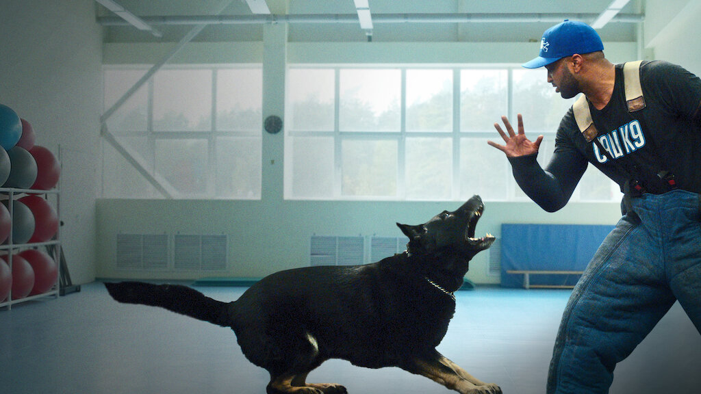 dog training shows on hulu