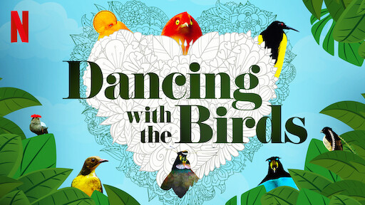 Watch Dancing with the Birds | Netflix Official Site