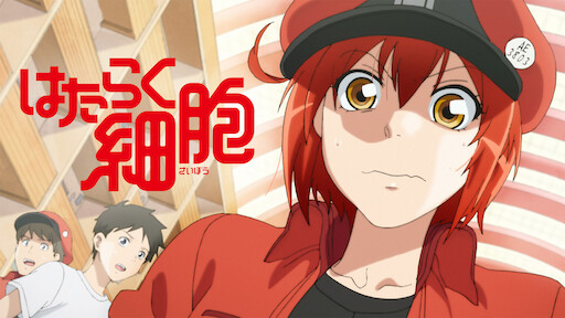 Cells at Work!: animê chega ao catálogo da Netflix