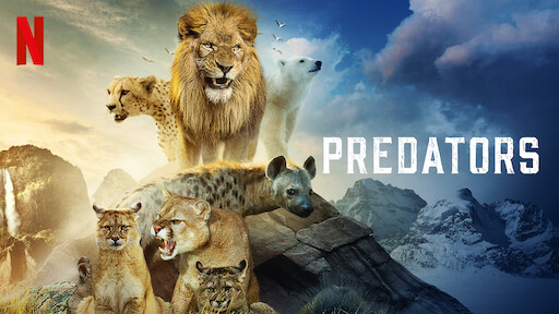 Predators streaming 2025