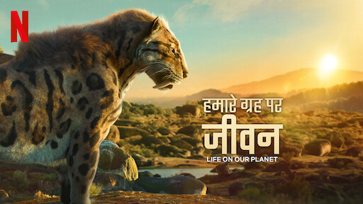 Netflix’s Best 5 Documentaries : अगर आप इन 5 बेस्ट डॉक्युमेंट्री को नहीं देखे तो पछतायेंगे 2 Netflix’s Best 5 Documentaries : अगर आप इन 5 बेस्ट डॉक्युमेंट्री को नहीं देखे तो पछतायेंगे