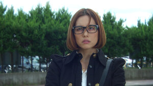 ナサケの女 ～国税局査察官～﻿を観﻿る | Netflix