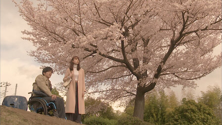 パーフェクトワールド Netflix