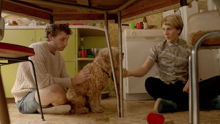 Please Like Me Netflix