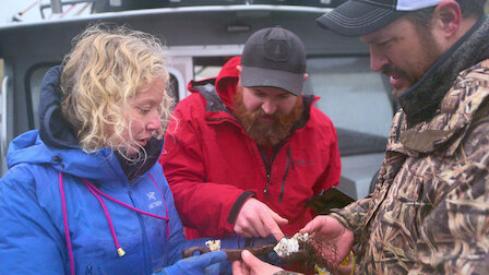 Watch Pirate Gold of Adak Island | Netflix Official Site