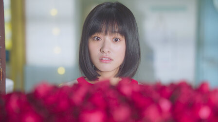 流星花園 18 Netflix ネットフリックス 公式サイト 流星花園 18 Netflix ネットフリックス 公式サイト