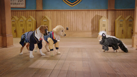 Pup Academy Netflix Official Site Pup Academy Netflix Official Site