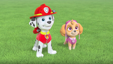 PAW Patrol  Netflix