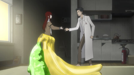 Watch Steins Gate Netflix