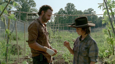 The walking dead season discount 4 episode 15 watch online