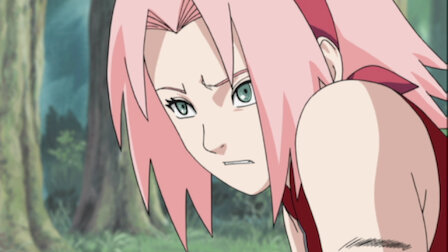 Naruto ナルト 疾風伝 Netflix