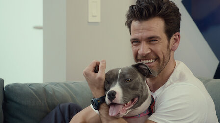 dog training shows on hulu