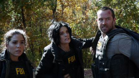 Blindspot Netflix Season 2