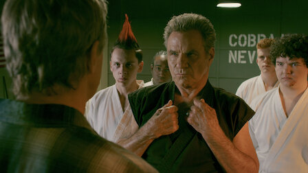 Cobra kai season on sale 2 watch online