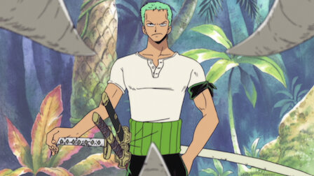 The Gold Recovery Team, Operation Start!, Lost Memories. (Zoro Love Story)