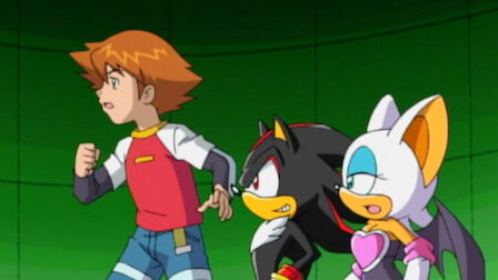 Shadow the Hedgehog in a Sonic X pose