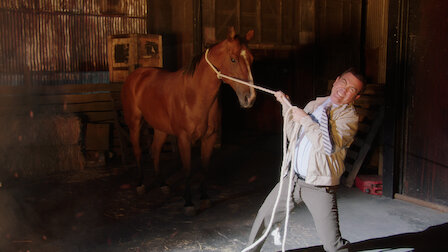 Watch Brooklyn Nine Nine Netflix