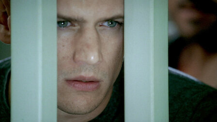 watch prison break season 3 episode 13