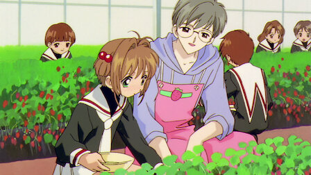 Where to watch Cardcaptor Sakura TV series streaming online?