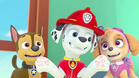 Paw Patrol La Pat Patrouille Netflix