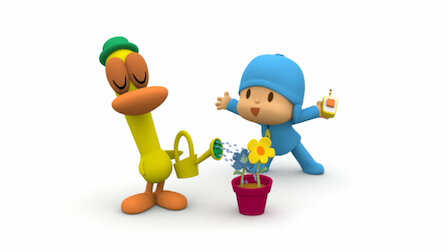 Pocoyo on X: Play with #Pato's #flowers the most incredible #game