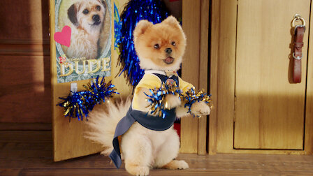 Pup Academy Netflix Official Site Pup Academy Netflix Official Site