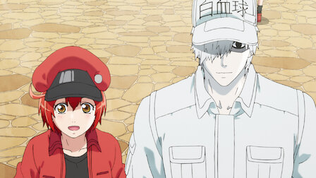 Cells At Work Netflix