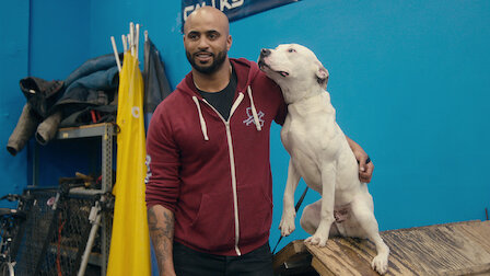 dog training shows on hulu