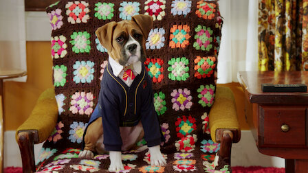 Pup Academy Netflix Official Site Pup Academy Netflix Official Site