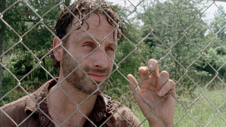 The walking dead discount season 10 online stream