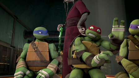 Rise of the Teenage Mutant Ninja Turtles: The Movie' Cast Guide - Netflix  Tudum