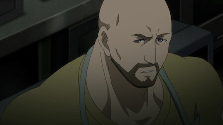 シュタインズ ゲート ゼロ Netflix