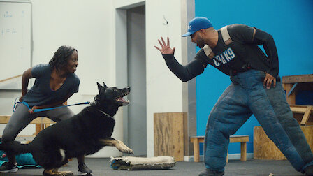 dog training shows on hulu