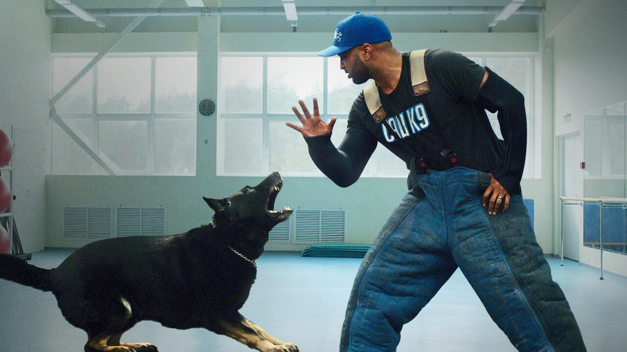 dog training shows on hulu
