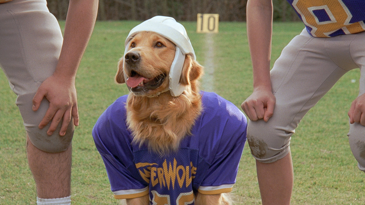 Air Bud Golden Receiver Netflix