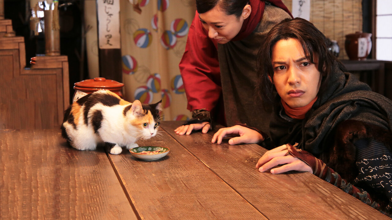 猫 忍