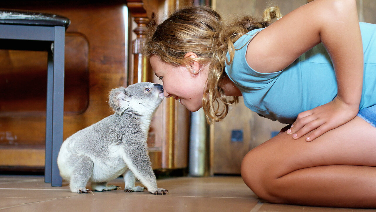 Izzy's Koala World: Magnetic Island teen Izzy Bee's show wins big