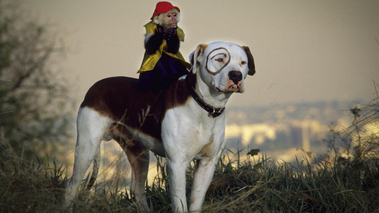 the little rascals full movie part 1 in english the little rascals full movie part 1 in english
