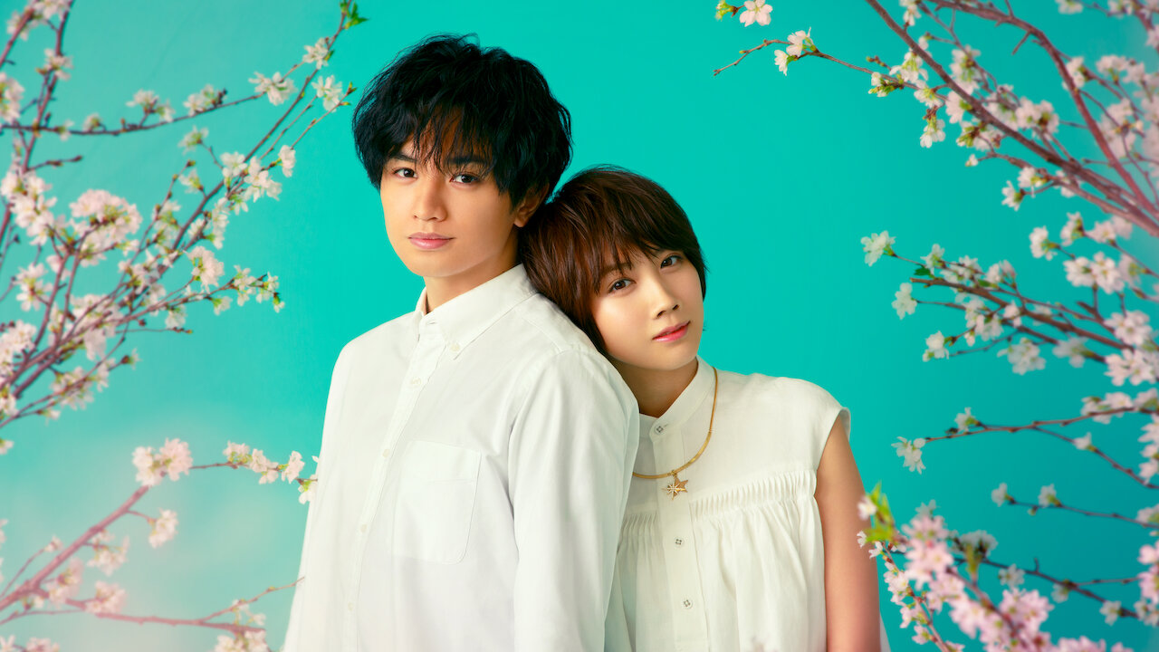 Love Like Falling Petals 2022 Love Like the Falling Petals 2022