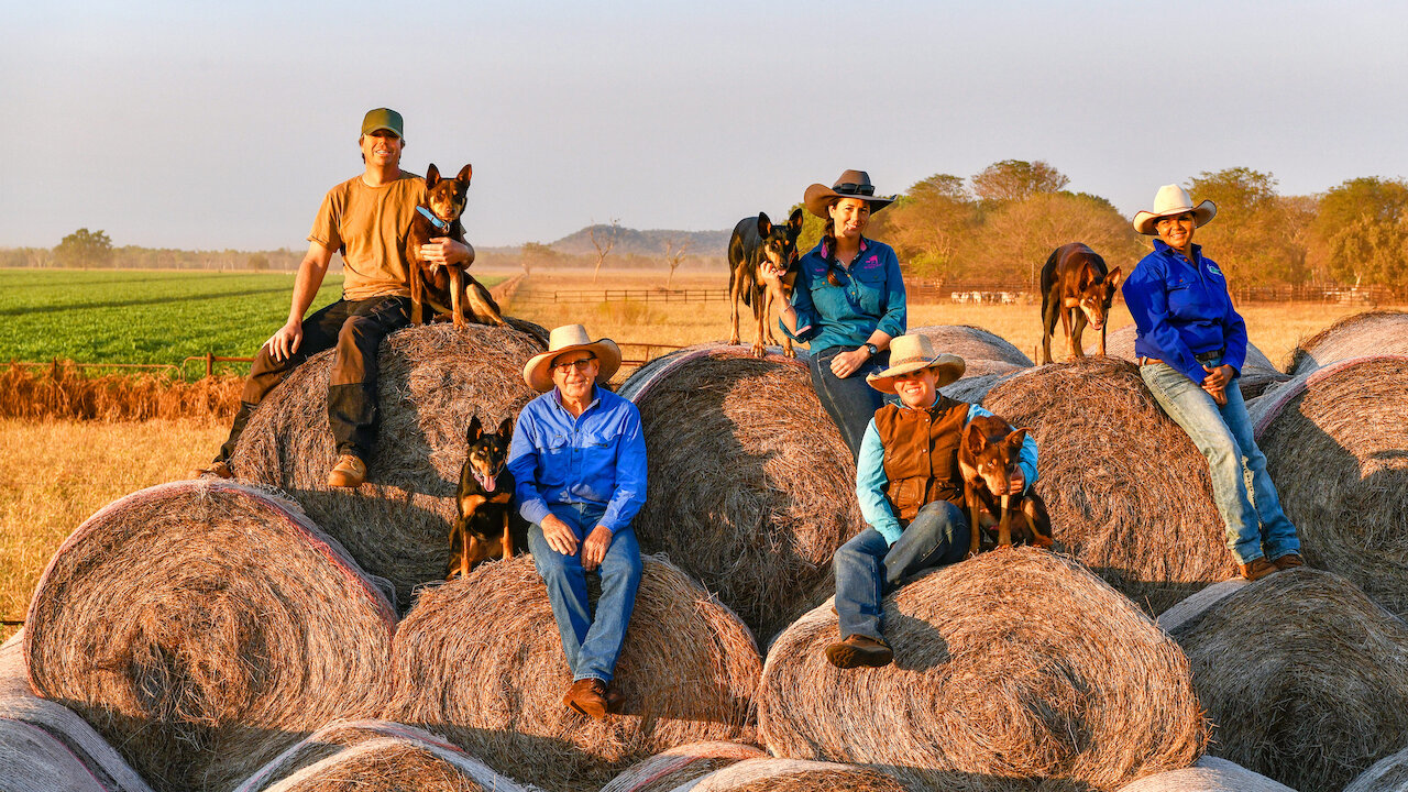 Dog documentary 2024 netflix australia