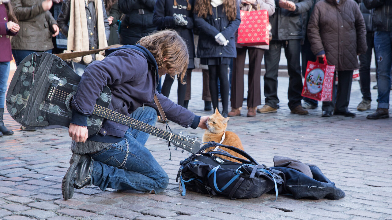 Watch A Street Cat Named Bob Netflix