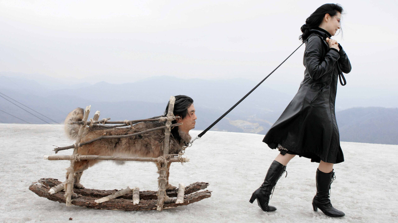 Watch Lady Vengeance Netflix