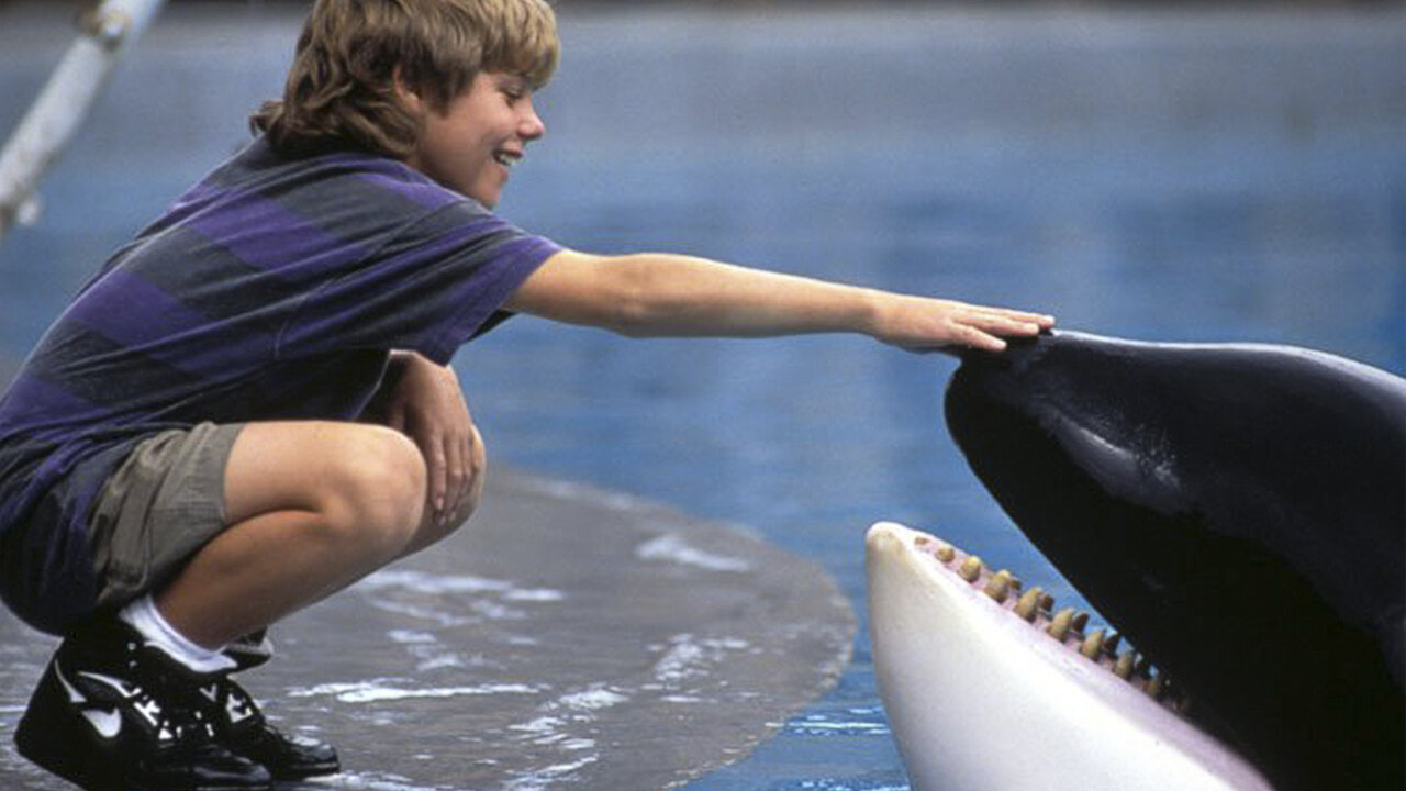 Watch Free Willy Netflix