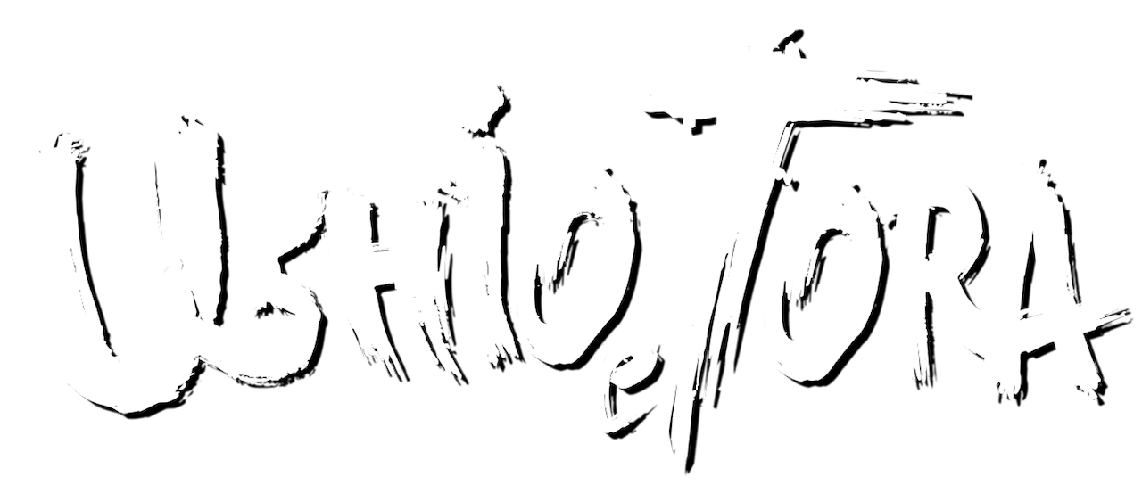 Ushio Tora Netflix