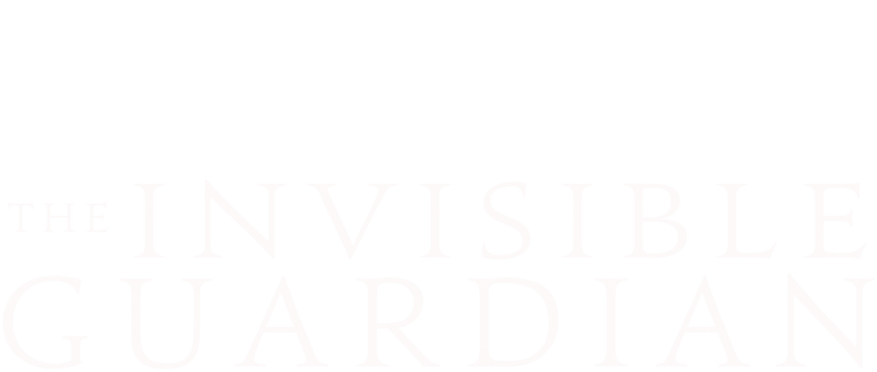 Watch The Invisible Guardian Netflix