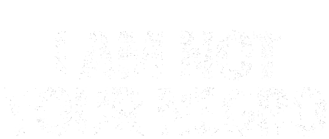 I Am Not Your Negro Netflix I Am Not Your Negro Netflix